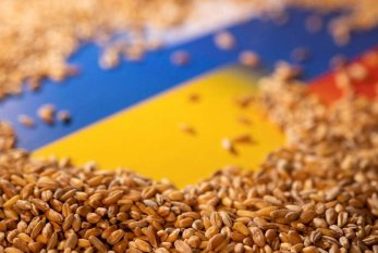 32 milyon ton Ukrayna taxılı dünya bazarına çıxacağı günü gözləyir 