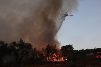 Meşə yanğınları 40 nəfərin ölümünə səbəb oldu- ÜST
