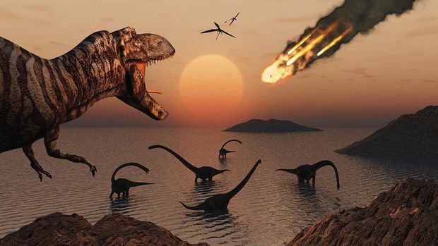 Dinozavr qalıqları tapıldı - VİDEO