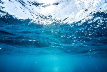 Okean istiliyi rekordu qırıldı 