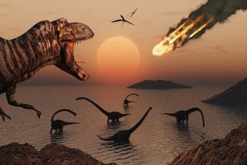 Dinozavr qalıqları tapıldı - VİDEO