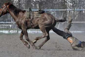 Atdan yıxılan prokuror ÖLDÜ - FOTO