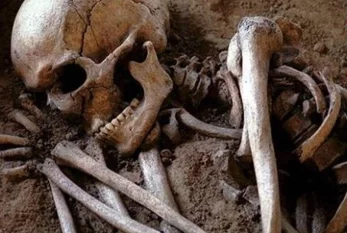 İranlı zəvvarların çantalarında insan skeletləri AŞKARLANDI