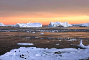 Antarktidada buzlar sürətlə əriyir – Alimlərdən həyəcan siqnalı