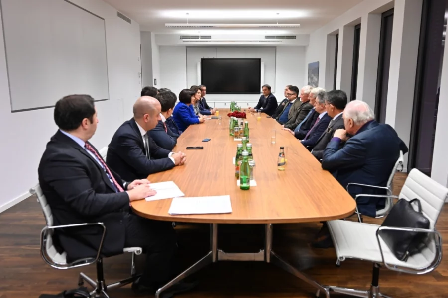 Berlin şəhərində sülh təşəbbüslərindən danışıldı - FOTO