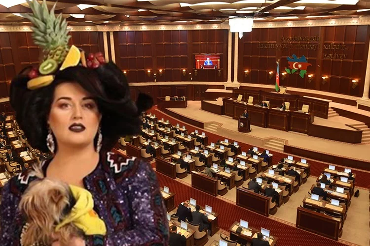 Elza Seyidcahan deputat olmaq istəyir - RTV VİDEO
