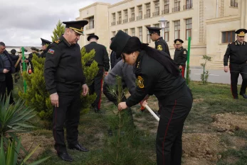 Dövlət Xidməti ağacəkmə aksiyası keçirdi - FOTO / VİDEO