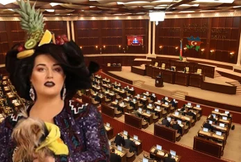 Elza Seyidcahan deputat olmaq istəyir - RTV VİDEO