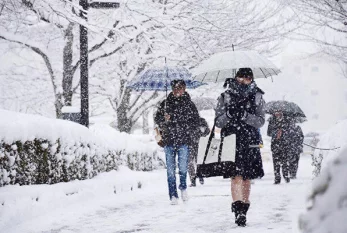 Bakıya sulu qar, rayonlara qar yağacaq 