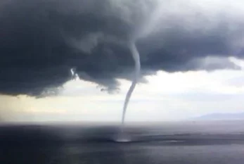 Türkiyədə güclü tornado - ağaclar kökündən çıxdı - VİDEO