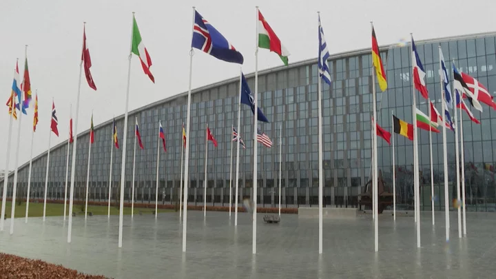 NATO bu ölkədə beynəlxalq əlaqələr ofisi açır 
