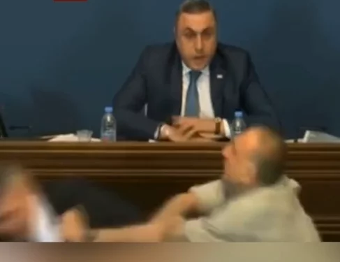 Gürcüstanda deputatlar arasında DAVA - VİDEO