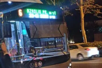 Bakıda ağac "Baku Bus"un üzərinə aşdı - VİDEO