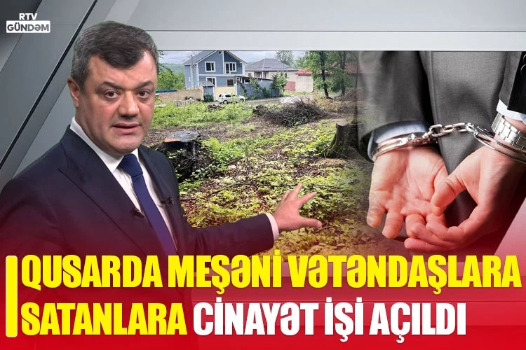Meşəni satanlara cinayət işi açıldı - VİDEO