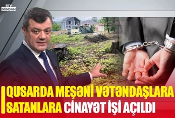Meşəni satanlara cinayət işi açıldı - VİDEO