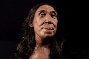 Neandertal qadının üzü yenidən yaradıldı - VİDEO