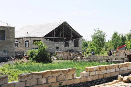 Daha iki nəfərdə qarayara aşkarlandı - Rəsmi