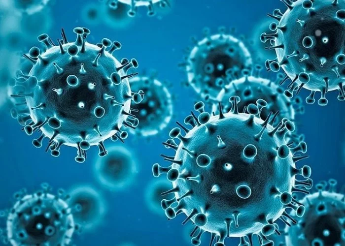 Dünyada yeni pandemiya yayıla bilər - ÜST xəbərdarlıq edir