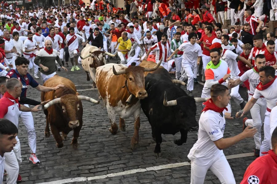 San Fermin festivalı BAŞLADI