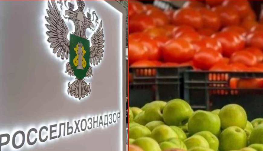 Rusiya Ermənistandan pomidor və alma idxalını dayandırdı 