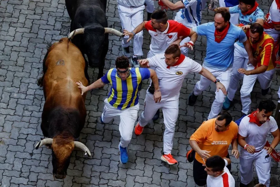 Öküz qaçışı zamanı YARALANANLAR oldu 