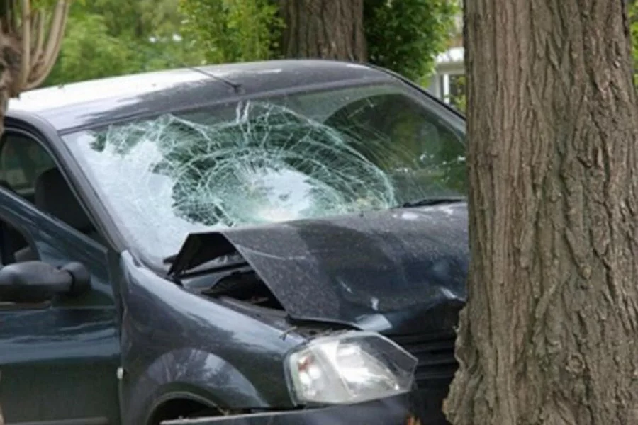 Avtomobil ağaca çırpıldı - sürücü öldü