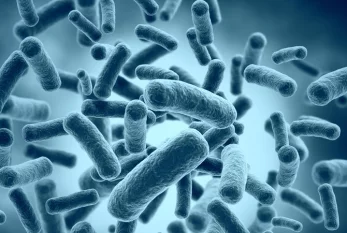 Alimlərdən yeni kəşf: Bakteriyaların da yaddaşı var