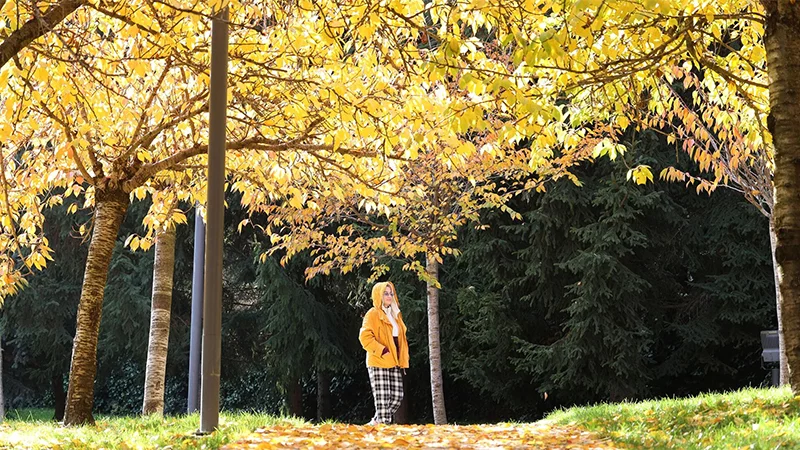 Sentyabr ayının hava proqnozu açıqlanıb 