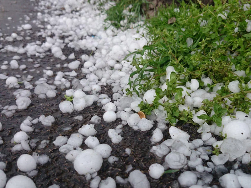 Hava ilə bağlı xəbərdarlıq - Sabahdan...