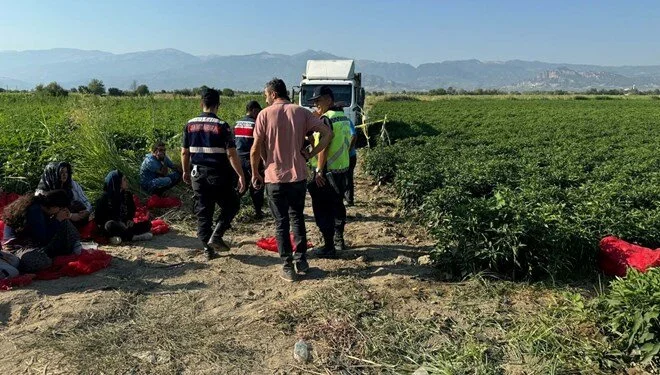 Yük maşını tarlada yatan uşağın üstündən keçdi