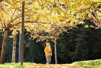 Sentyabr ayının hava proqnozu açıqlanıb 