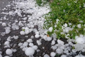 Hava ilə bağlı xəbərdarlıq - Sabahdan...