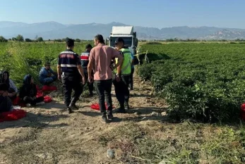 Yük maşını tarlada yatan uşağın üstündən keçdi