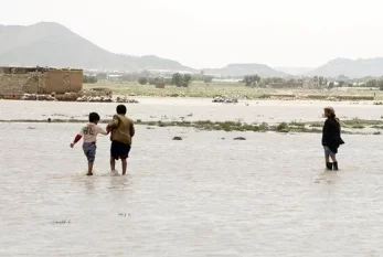 "158 min insan seldən zərər gördü" 