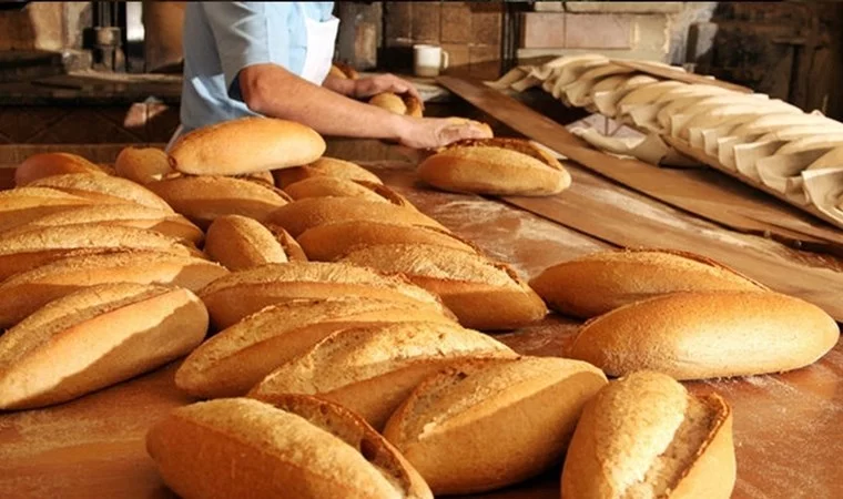 Çörək aldı, içindən arı çıxdı! - FOTO