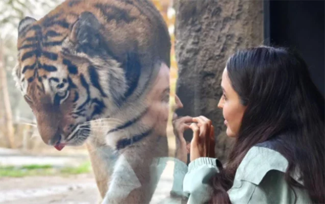 Leyla Əliyeva Bakı zooparkından paylaşım etdi - Fotolar