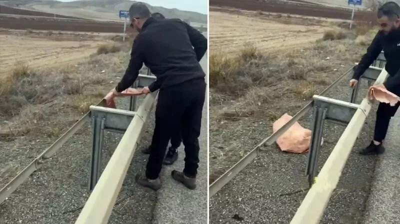 Yol kənarına qoyulan torbanı açan vətəndaşlar dəhşətli mənzərə ilə qarşılaşdı 