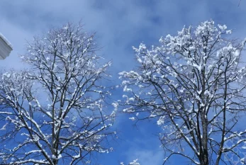 Küləkli hava şəraiti ilə bağlı sarı xəbərdarlıq verilib 